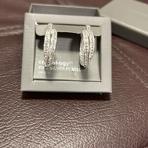 Beautiful Crystal-ogy hoop earrings